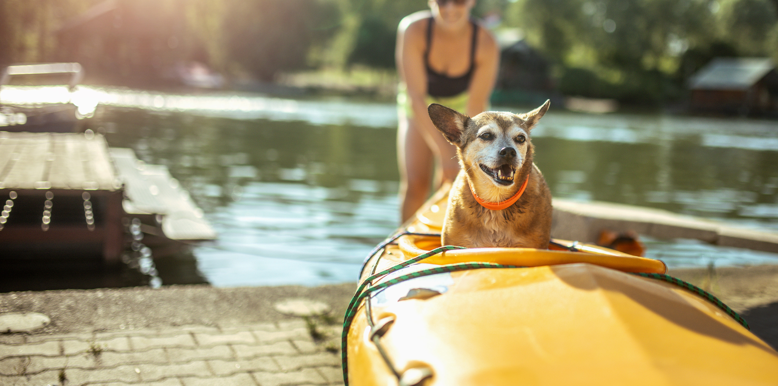 family playing with dog on river