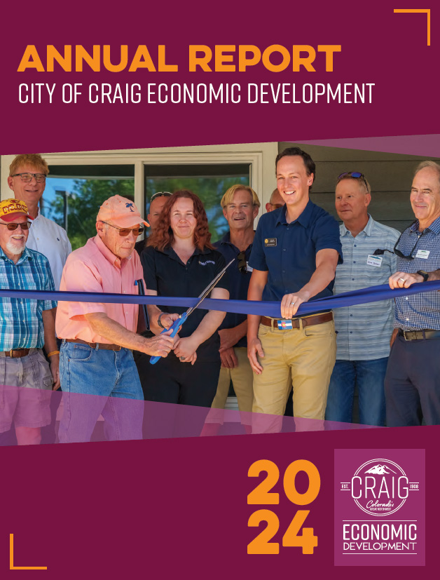 Annual Report 2024 cover